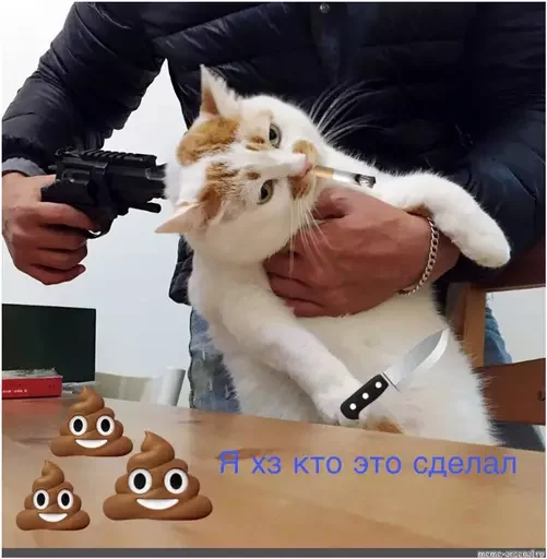 🤐 Стикер «Миу боты» для Telegram