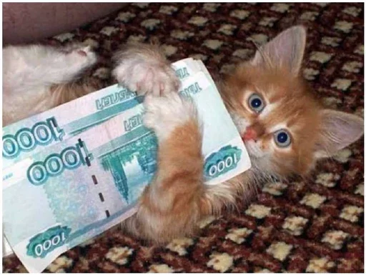 🏦 Стикер «Миу боты» для Telegram