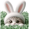 😶 Эмодзи «Мяу кролик» для Telegram