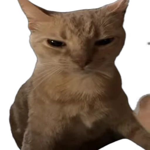 😡 Стикер «meow» для Telegram