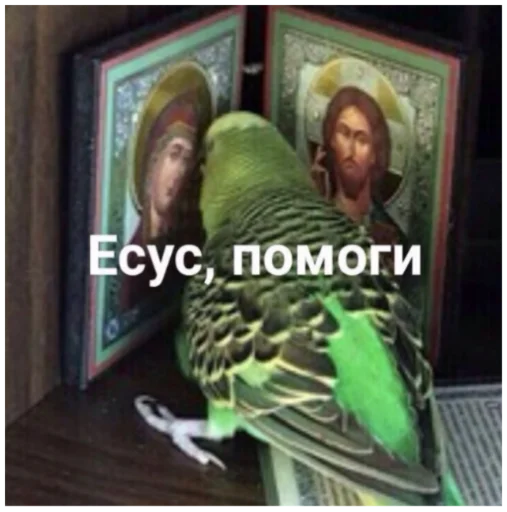 🦜 Стикер «ыыы» для Telegram