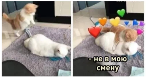 😊 Стикер «ыыы» для Telegram