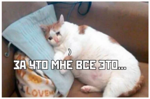 😭 Стикер «ыыы» для Telegram