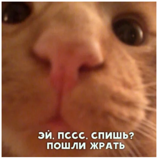 🙂 Стикер «ыыы» для Telegram