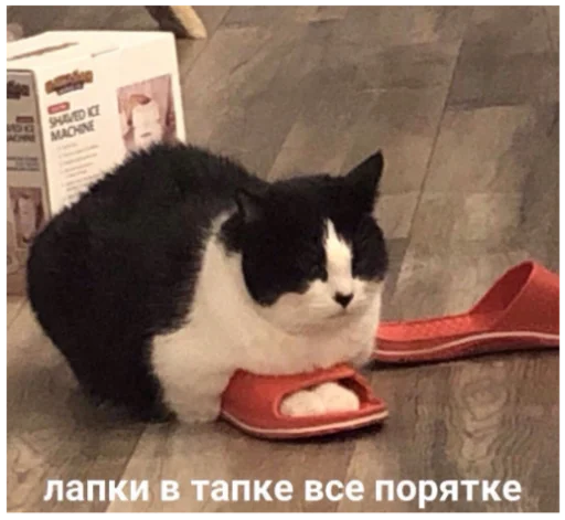 🙂 Стикер «ыыы» для Telegram