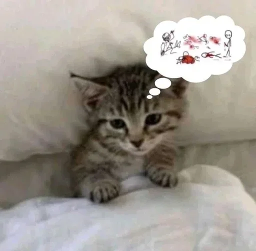 🥺 Стикер «kitana cat» для Telegram