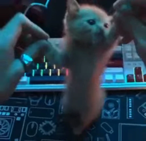 🌟 Стикер «kitana cat» для Telegram