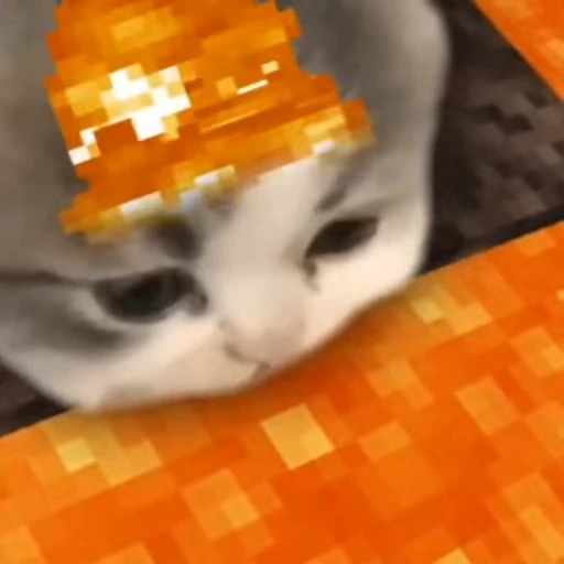 🥛 Стикер «kitana cat» для Telegram