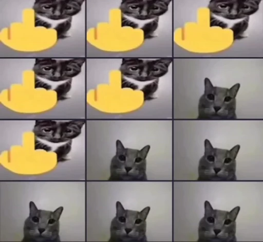 🖕 Стикер «kitana cat» для Telegram