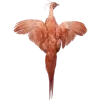 🐦 Эмодзи «– ᴅᴇ ᴠɪᴛɪɪs ᴇᴛ ᴄʀᴇᴇᴘʏ.» для Telegram