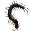 🐛 Эмодзи «– ᴅᴇ ᴠɪᴛɪɪs ᴇᴛ ᴄʀᴇᴇᴘʏ.» для Telegram