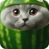 🐱 Эмодзи «METALLICA» для Telegram