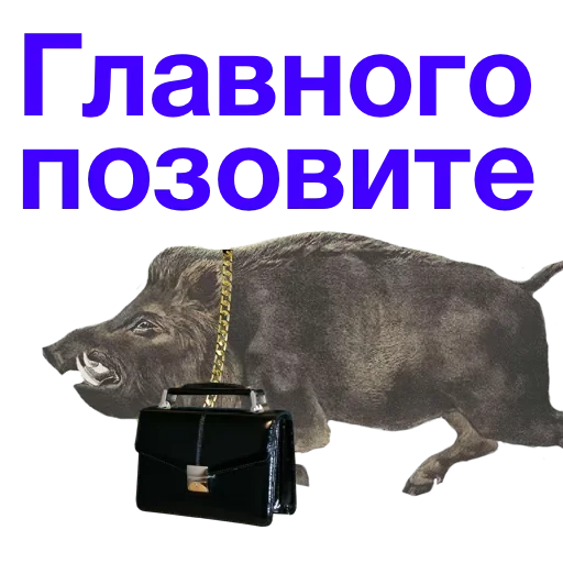 😌 Стикер «Метнулся» для Telegram