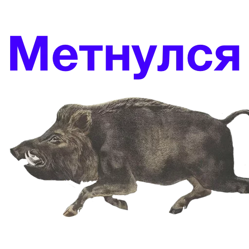 Стикерпак Метнулся для Telegram — скачать