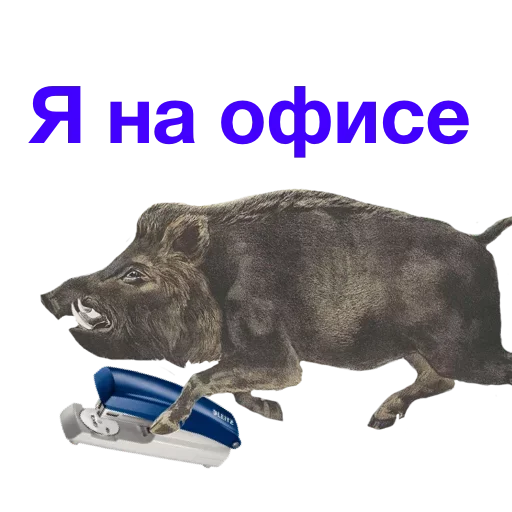 😠 Стикер «Метнулся» для Telegram