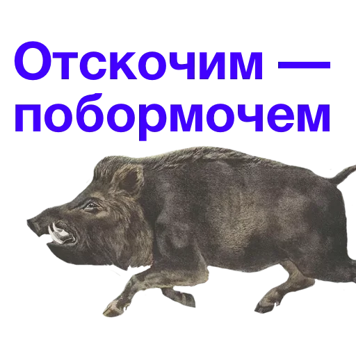 😁 Стикер «Метнулся» для Telegram