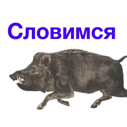 🙃 Стикер «Метнулся» для Telegram