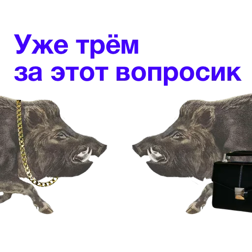 🤨 Стикер «Метнулся» для Telegram