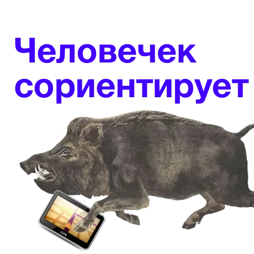 🥸 Стикер «Метнулся» для Telegram