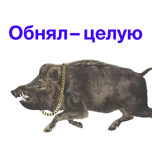 😘 Стикер «Метнулся» для Telegram