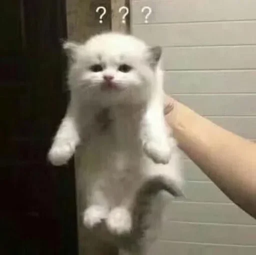 ❓ Стикер «коты» для Telegram
