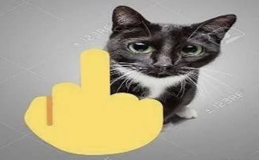 🌟 Стикер «коты» для Telegram