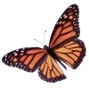 🦋 Эмодзи «Mewsticks» для Telegram