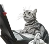 💻 Эмодзи «Микрокотики (Microcats)» для Telegram