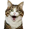 😳 Эмодзи «Микрокотики (Microcats)» для Telegram