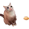 😠 Эмодзи «Микрокотики (Microcats)» для Telegram