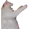 😨 Эмодзи «Микрокотики (Microcats)» для Telegram