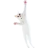 🐾 Эмодзи «Микрокотики (Microcats)» для Telegram