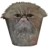 😱 Эмодзи «Микрокотики (Microcats)» для Telegram