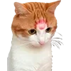 🤨 Эмодзи «Микрокотики (Microcats)» для Telegram
