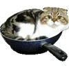 🍳 Эмодзи «Микрокотики (Microcats)» для Telegram