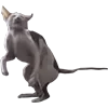 🐀 Эмодзи «Микрокотики (Microcats)» для Telegram