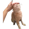 ☺️ Эмодзи «Микрокотики (Microcats)» для Telegram