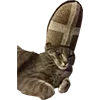 🧘‍♀️ Эмодзи «Микрокотики (Microcats)» для Telegram