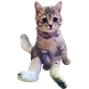 🤕 Эмодзи «Микрокотики (Microcats)» для Telegram
