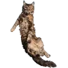 👋 Эмодзи «Микрокотики (Microcats)» для Telegram