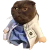 😠 Эмодзи «Микрокотики (Microcats)» для Telegram