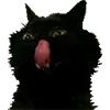 😜 Эмодзи «Микрокотики (Microcats)» для Telegram