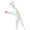🐈 Эмодзи «Микрокотики (Microcats)» для Telegram