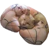 🛌 Эмодзи «Микрокотики (Microcats)» для Telegram