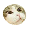 😳 Эмодзи «Микрокотики (Microcats)» для Telegram
