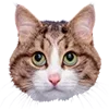 😒 Эмодзи «Микрокотики (Microcats)» для Telegram