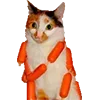 😳 Эмодзи «Микрокотики (Microcats)» для Telegram