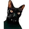👹 Эмодзи «Микрокотики (Microcats)» для Telegram