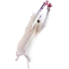 🐾 Эмодзи «Микрокотики (Microcats)» для Telegram