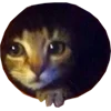 🥺 Эмодзи «Микрокотики (Microcats)» для Telegram